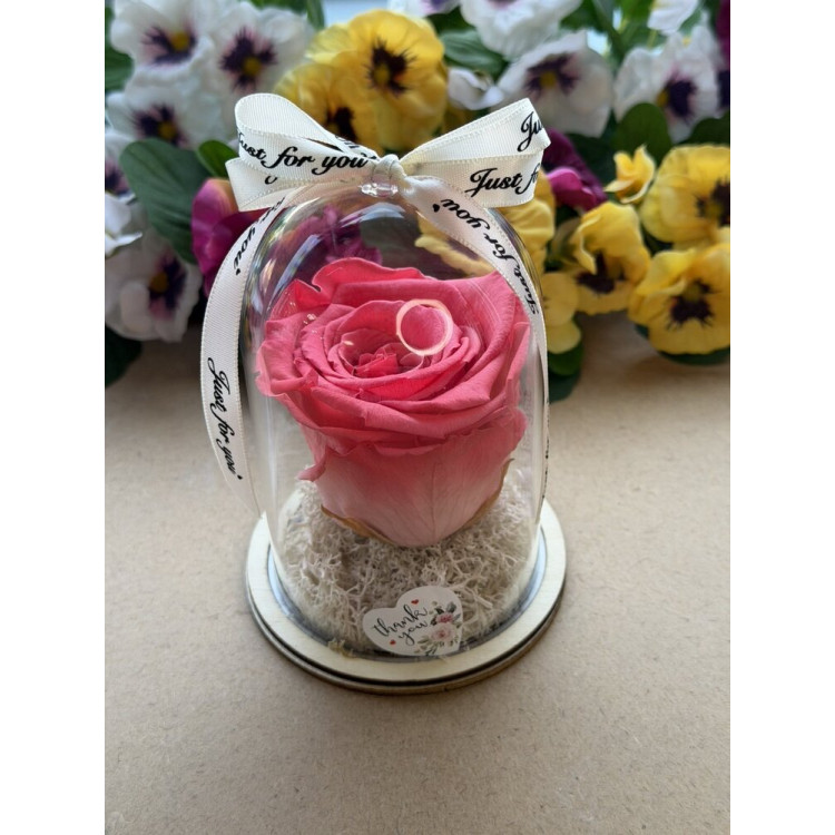 Естествена вечна роза в PVC купол W14