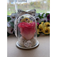 Естествена вечна роза в PVC купол W14