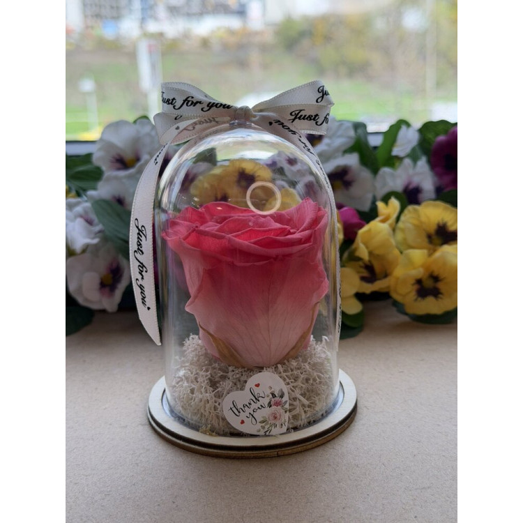 Естествена вечна роза в PVC купол W14