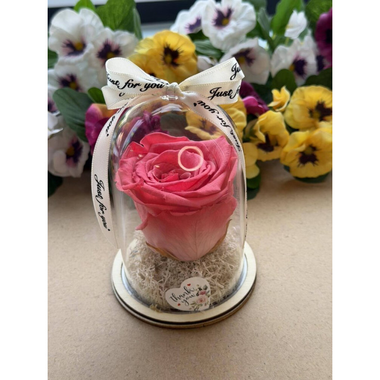 Естествена вечна роза в PVC купол W14