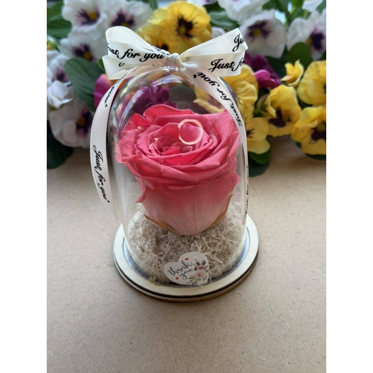 Естествена вечна роза в PVC купол W14