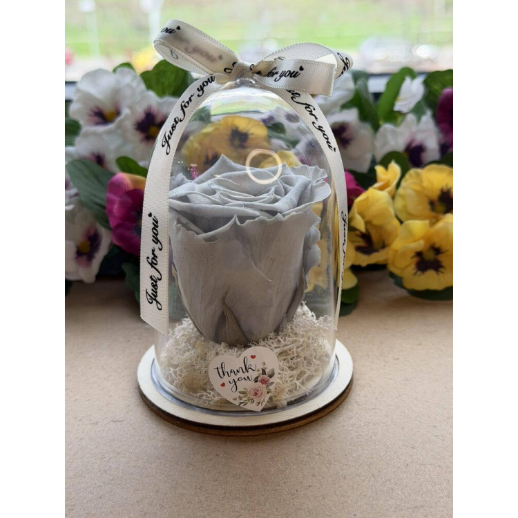 Естествена вечна роза в PVC купол W15