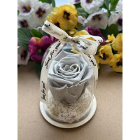 Естествена вечна роза в PVC купол W15