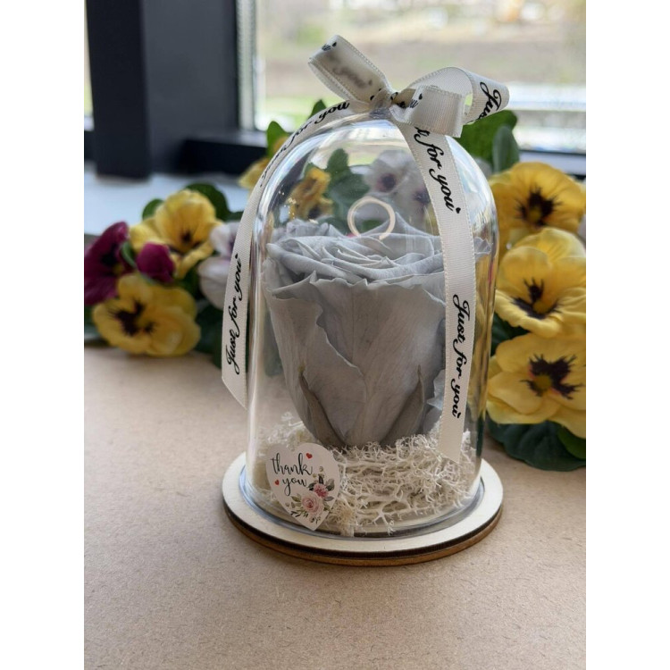 Естествена вечна роза в PVC купол W15