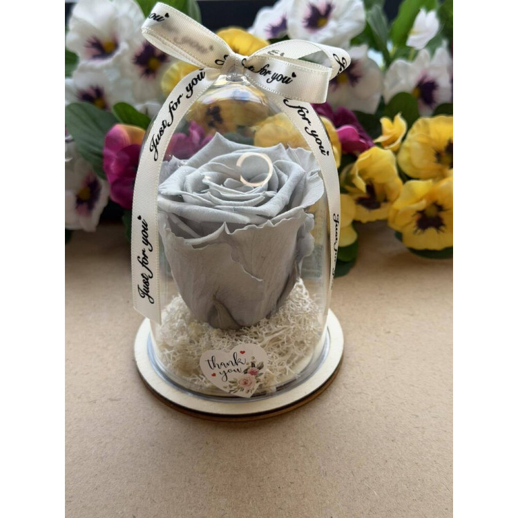 Естествена вечна роза в PVC купол W15