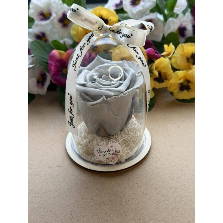 Естествена вечна роза в PVC купол W15