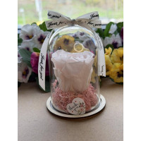 Естествена вечна роза в PVC купол W17