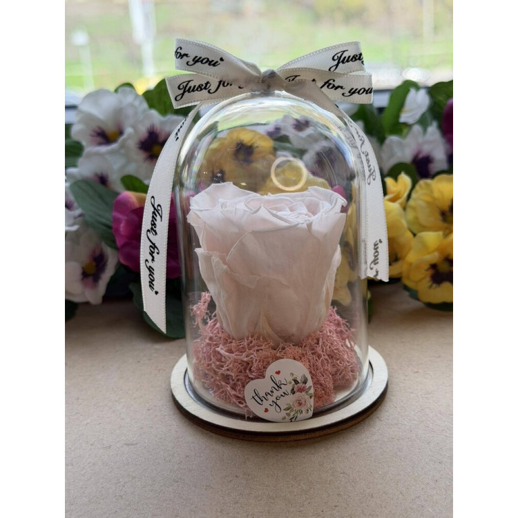 Естествена вечна роза в PVC купол W17