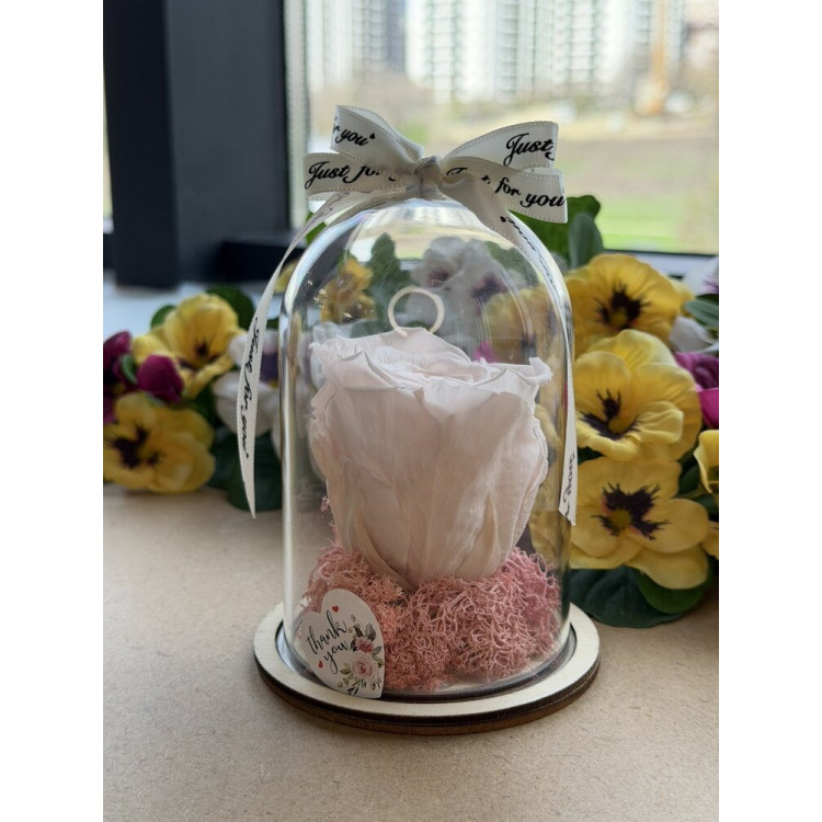 Естествена вечна роза в PVC купол W17