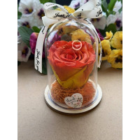 Естествена вечна роза в PVC купол W18