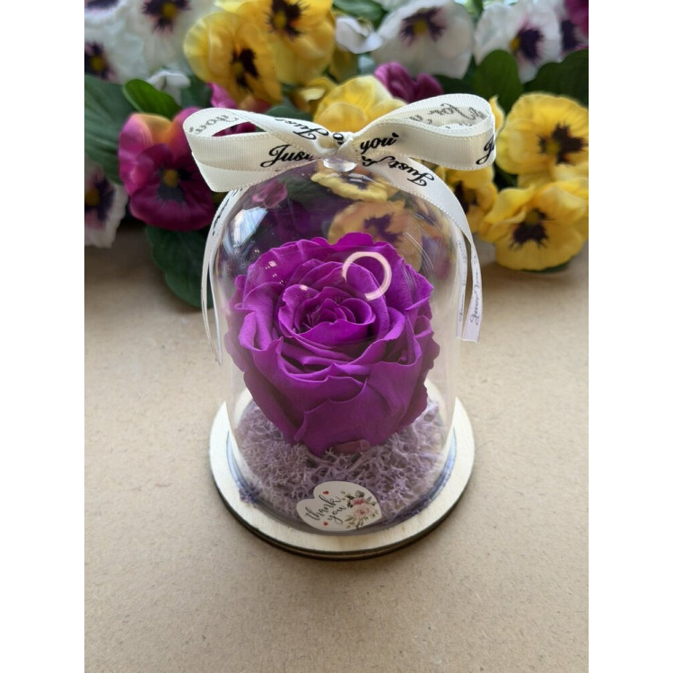 Естествена вечна роза в PVC купол W19