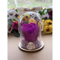 Естествена вечна роза в PVC купол W19