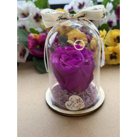 Естествена вечна роза в PVC купол W19