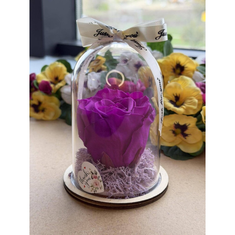 Естествена вечна роза в PVC купол W19