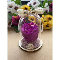 Естествена вечна роза в PVC купол W19