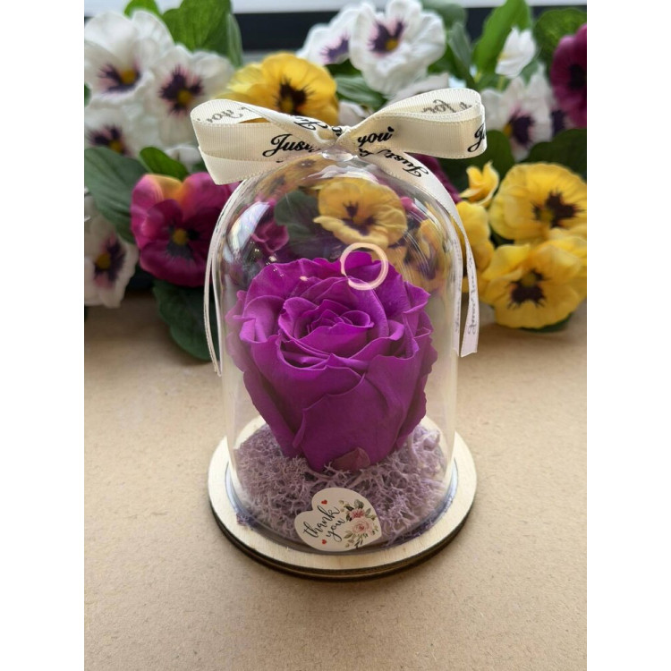 Естествена вечна роза в PVC купол W19