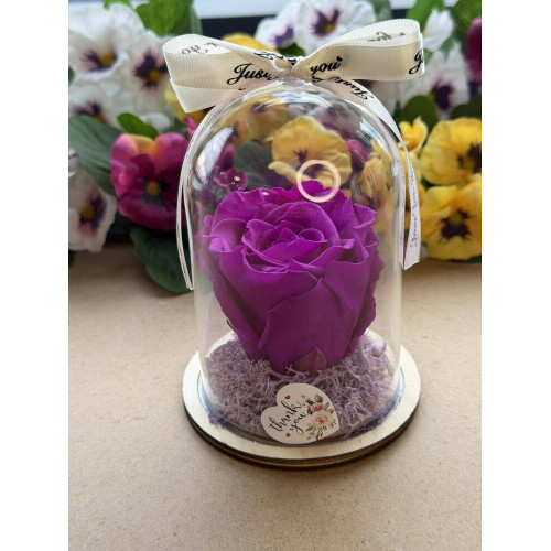 Естествена вечна роза в PVC купол W19