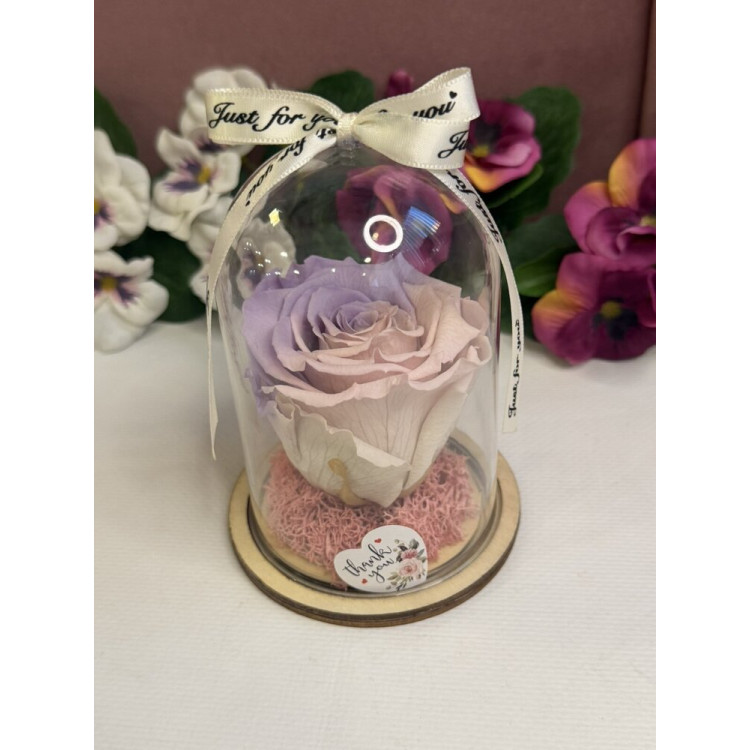 Естествена вечна роза в PVC купол W2