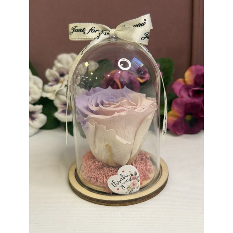 Естествена вечна роза в PVC купол W2