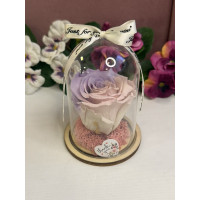 Естествена вечна роза в PVC купол W2