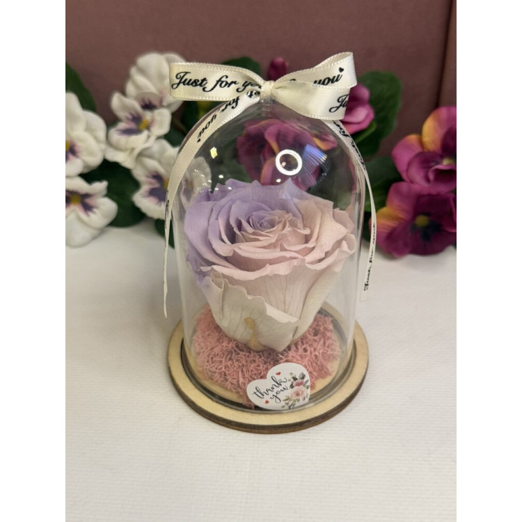 Естествена вечна роза в PVC купол W2