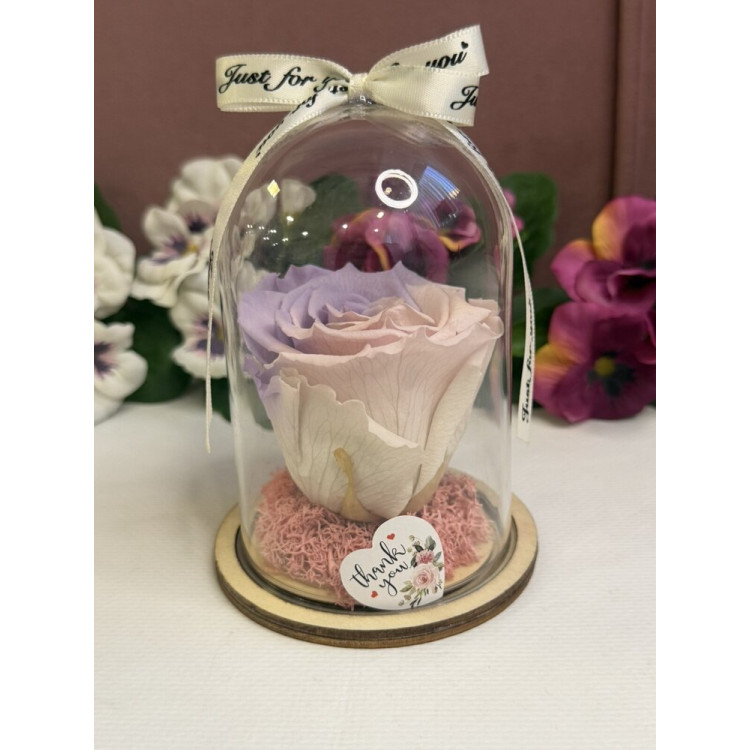 Естествена вечна роза в PVC купол W2