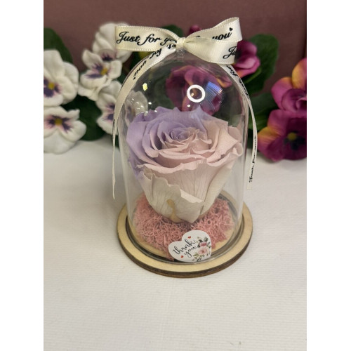 Естествена вечна роза в PVC купол W2