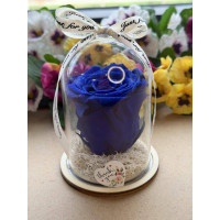 Естествена вечна роза в PVC купол W20