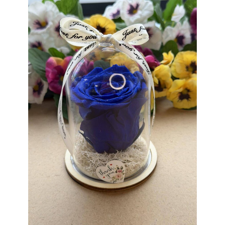 Естествена вечна роза в PVC купол W20