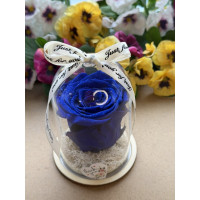 Естествена вечна роза в PVC купол W20