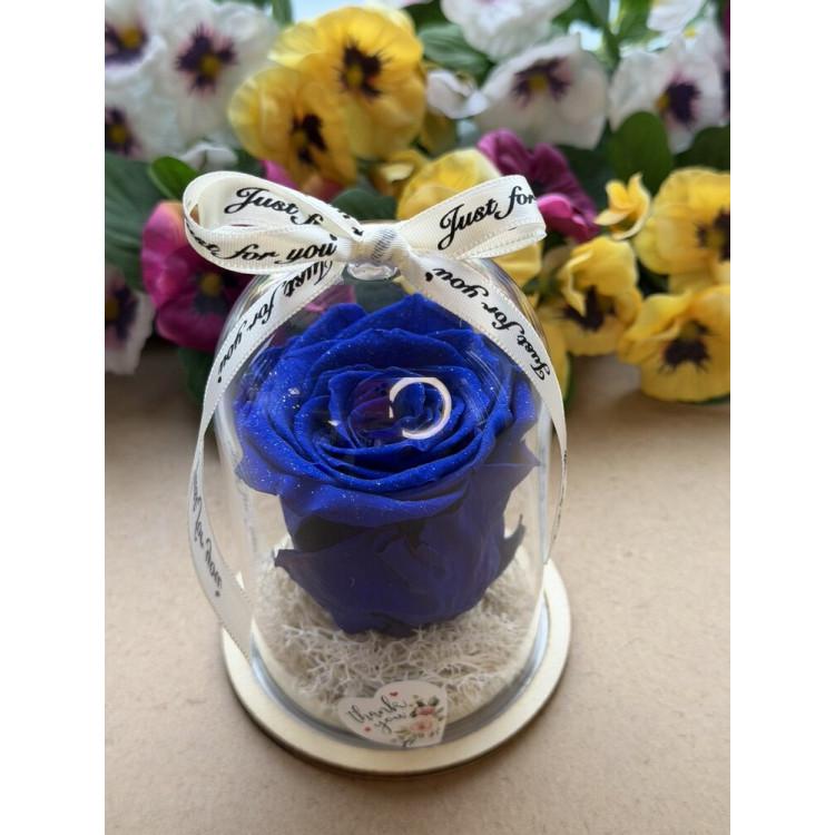 Естествена вечна роза в PVC купол W20