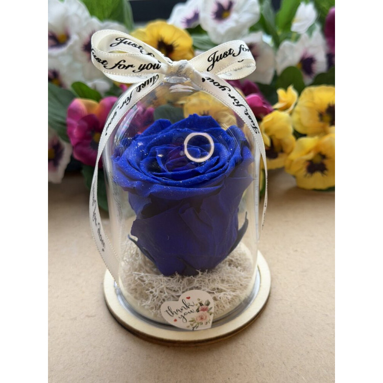 Естествена вечна роза в PVC купол W20