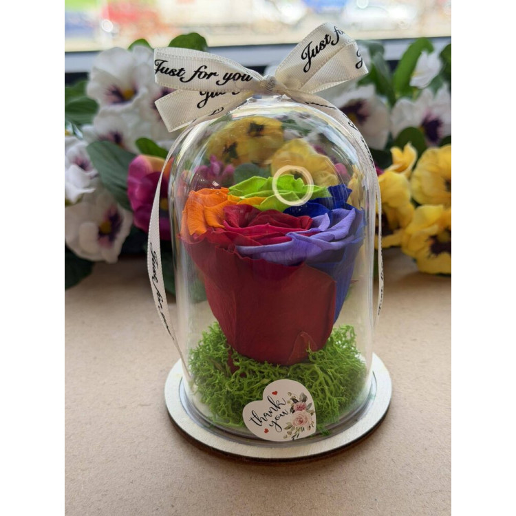 Естествена вечна роза в PVC купол W21