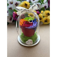 Естествена вечна роза в PVC купол W21