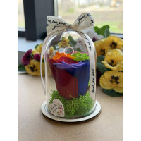 Естествена вечна роза в PVC купол W21