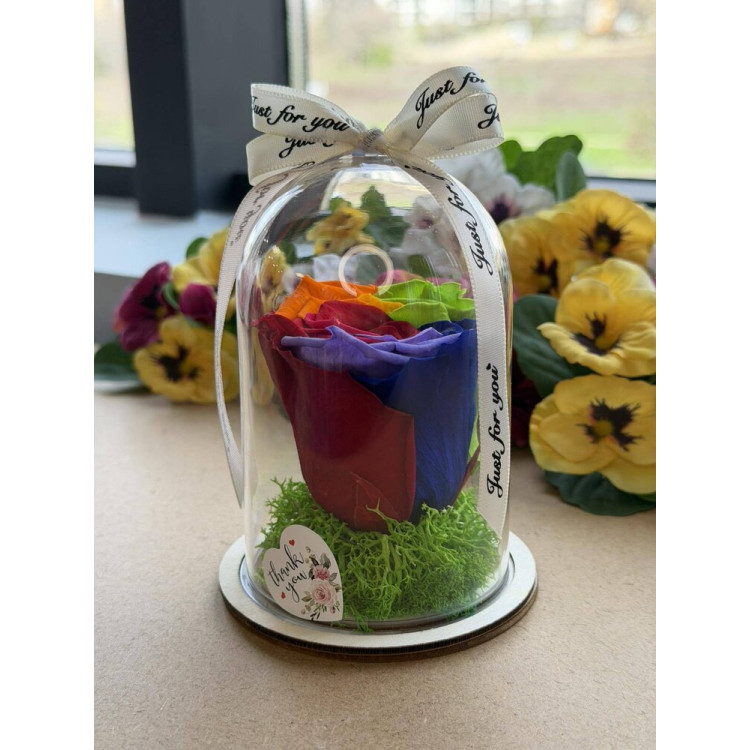 Естествена вечна роза в PVC купол W21