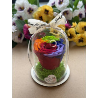 Естествена вечна роза в PVC купол W21