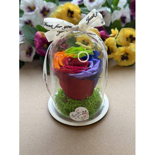 Естествена вечна роза в PVC купол W21