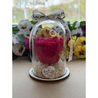 Естествена вечна роза в PVC купол W22