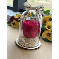 Естествена вечна роза в PVC купол W22