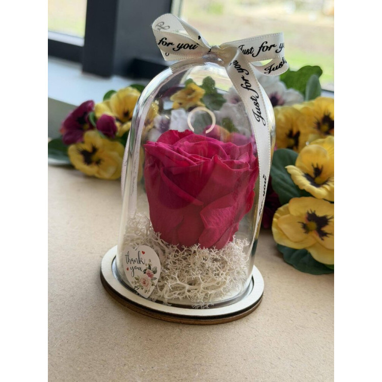 Естествена вечна роза в PVC купол W22