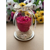 Естествена вечна роза в PVC купол W22