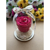 Естествена вечна роза в PVC купол W22