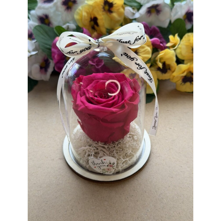 Естествена вечна роза в PVC купол W22