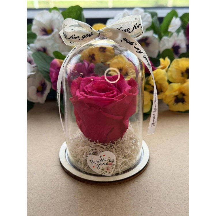 Естествена вечна роза в PVC купол W22