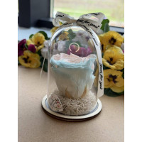 Естествена вечна роза в PVC купол W23