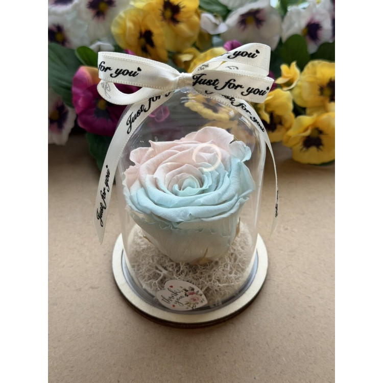 Естествена вечна роза в PVC купол W23