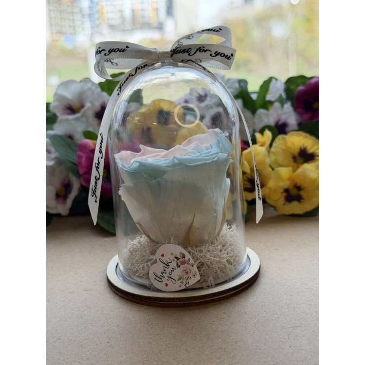 Естествена вечна роза в PVC купол W23