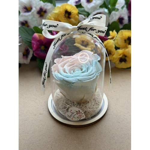 Естествена вечна роза в PVC купол W23