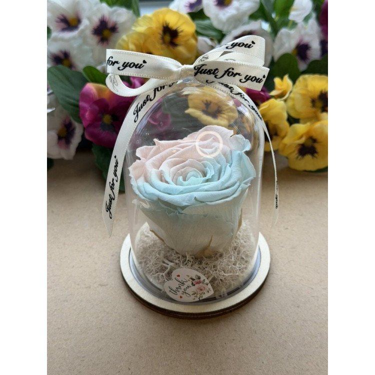 Естествена вечна роза в PVC купол W23